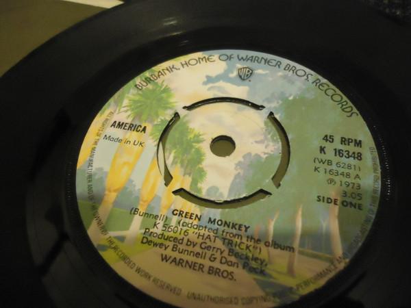 America (2) - Green Monkey
