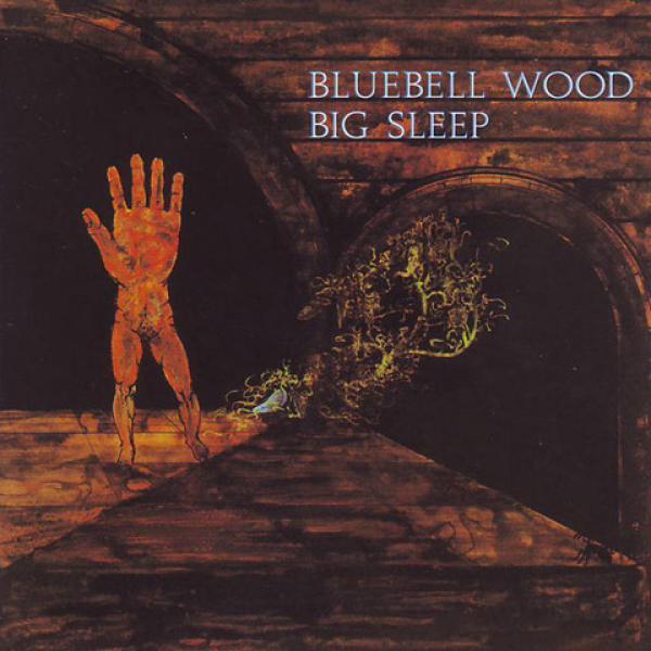 Big Sleep (2) - Bluebell Wood