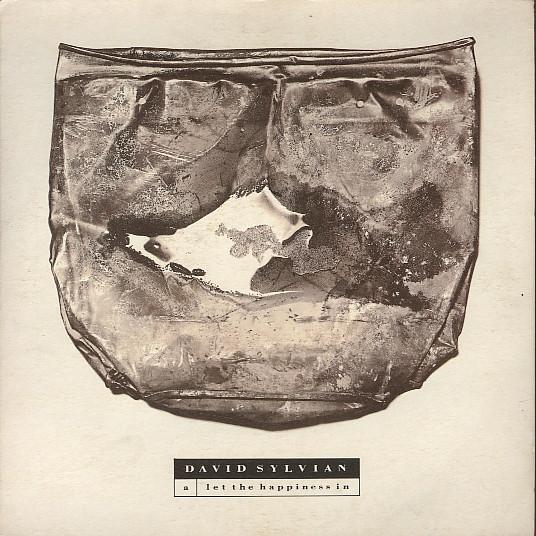 David Sylvian - Let The Happiness In