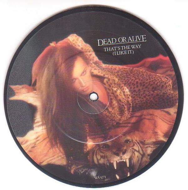 Dead Or Alive - That's The Way (I Like It)