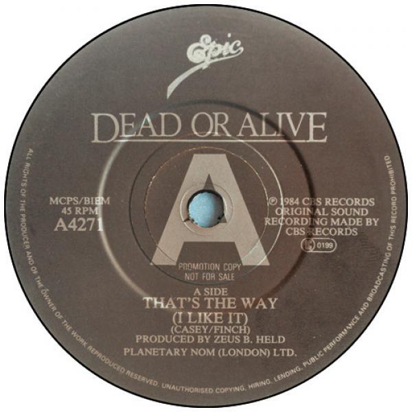 Dead Or Alive - That's The Way (I Like It)
