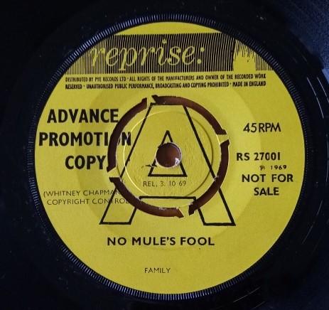 Family (6) - No Mule's Fool