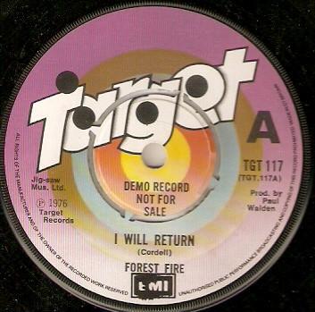 Forest Fire (3) - I Will Return