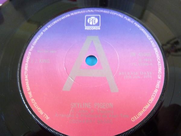 J.J. King - Skyline Pigeon