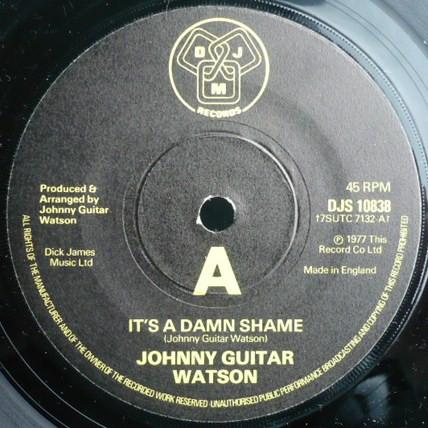 Johnny Guitar Watson - It's A Damn Shame