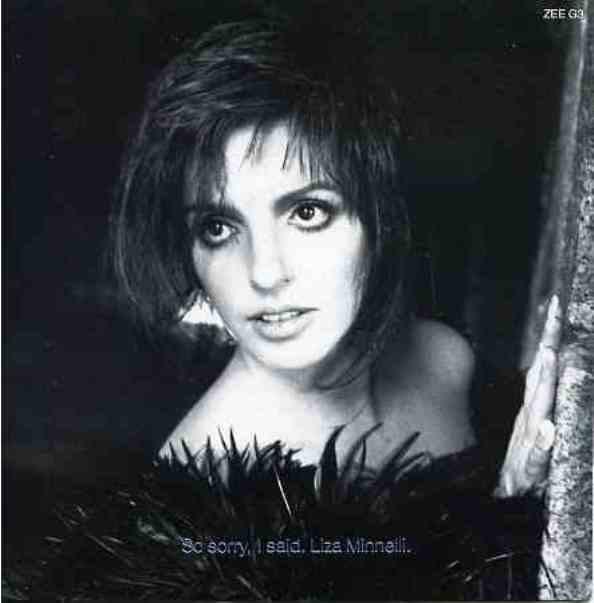 Liza Minnelli - So Sorry, I Said