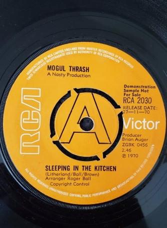 Mogul Thrash - Sleeping In The Kitchen