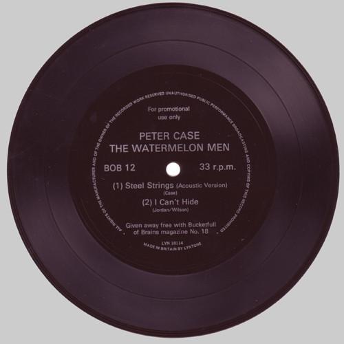 Peter Case, Watermelon Men - Steel Strings / I Can't Hide