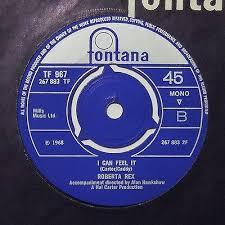 Roberta Rex - Joey