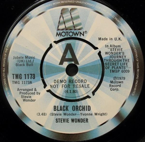 Stevie Wonder - Black Orchid