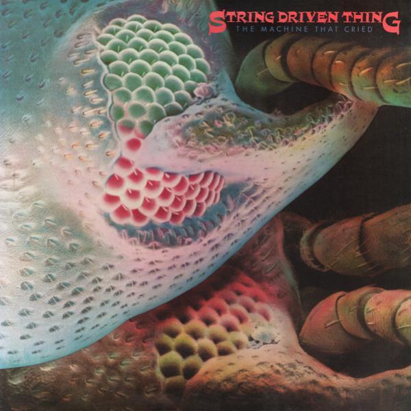 String Driven Thing - The Machine That Cried