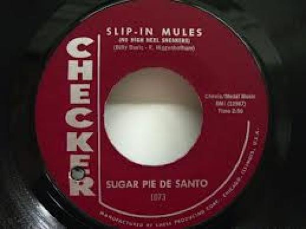 Sugar Pie DeSanto - Slip-In Mules (No High Heel Sneakers) / Mr. & Mrs.