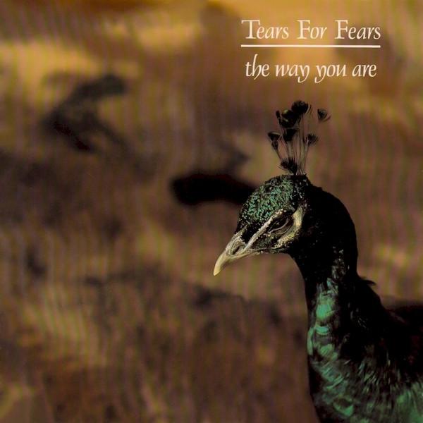 Tears For Fears - The Way You Are
