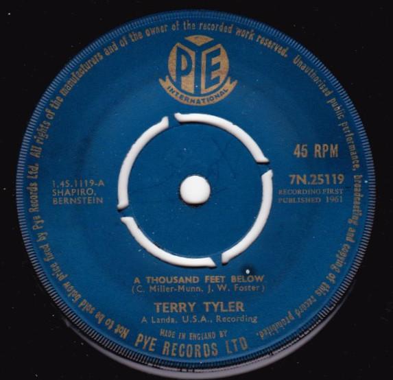 Terry Tyler - A Thousand Feet Below