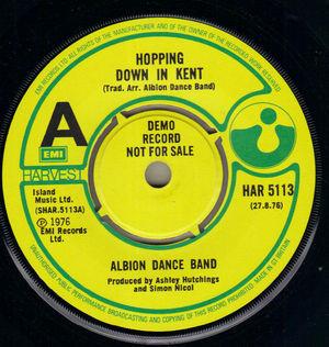 The Albion Dance Band - Hopping Down In Kent
