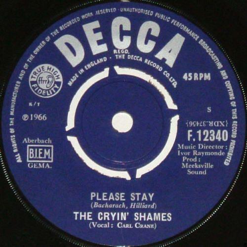 The Cryin' Shames - Please Stay