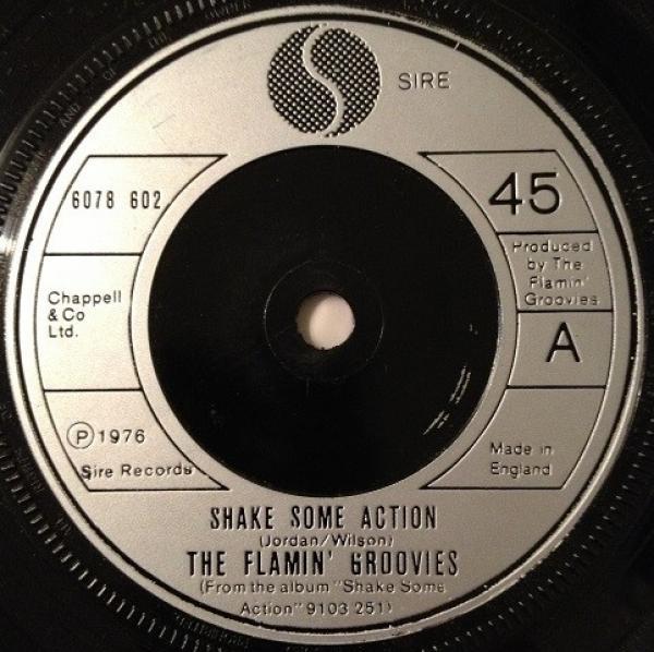 The Flamin' Groovies - Shake Some Action
