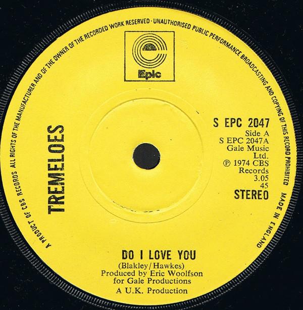 The Tremeloes - Do I Love You