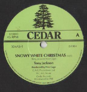 Tony Jackson - Snowy White Christmas / New Years Resolution