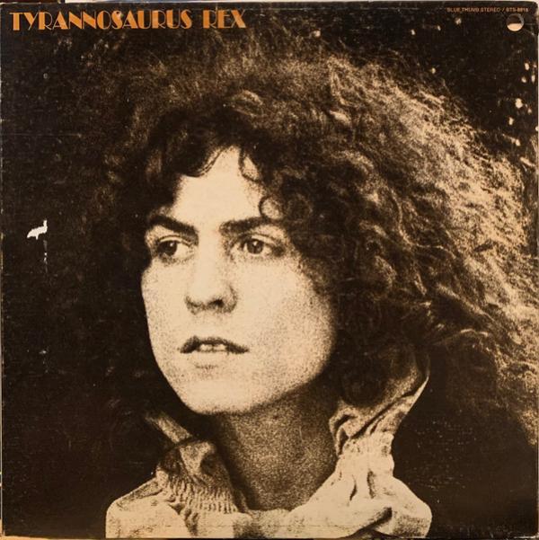 Tyrannosaurus Rex - A Beard Of Stars