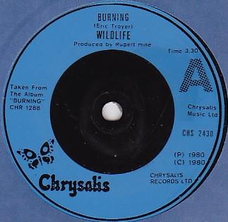 Wildlife (8) - Burning